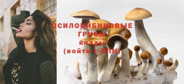 стаф Заволжск