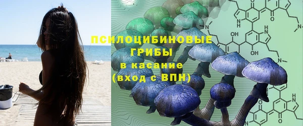 Альфа ПВП Заволжье
